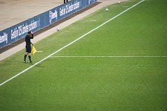 Arbitro
