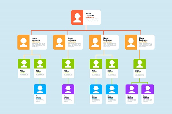 Organigramma