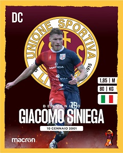 Siniega