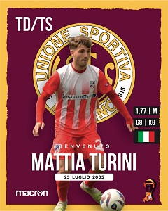 Turini
